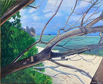Anse Source d'argent